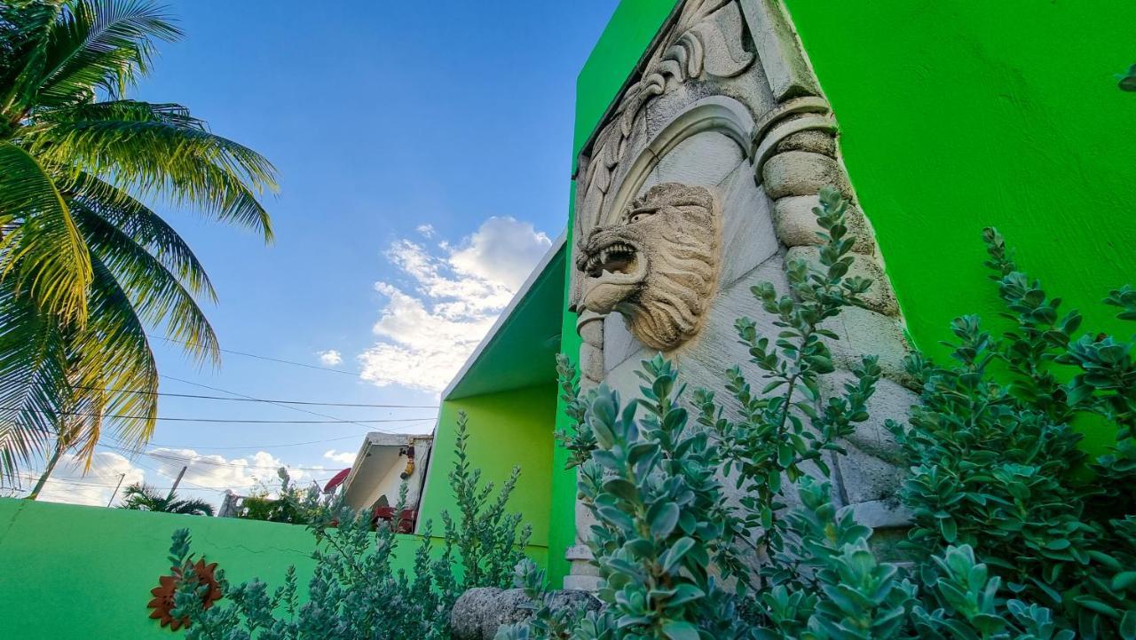 Villa Leo Cancun Downtown 外观 照片